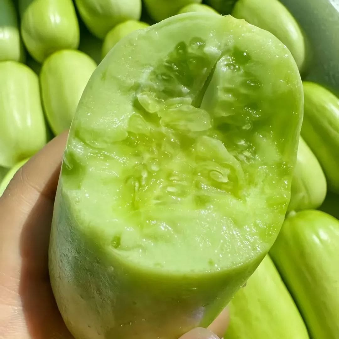 🥒Concombre de Jade