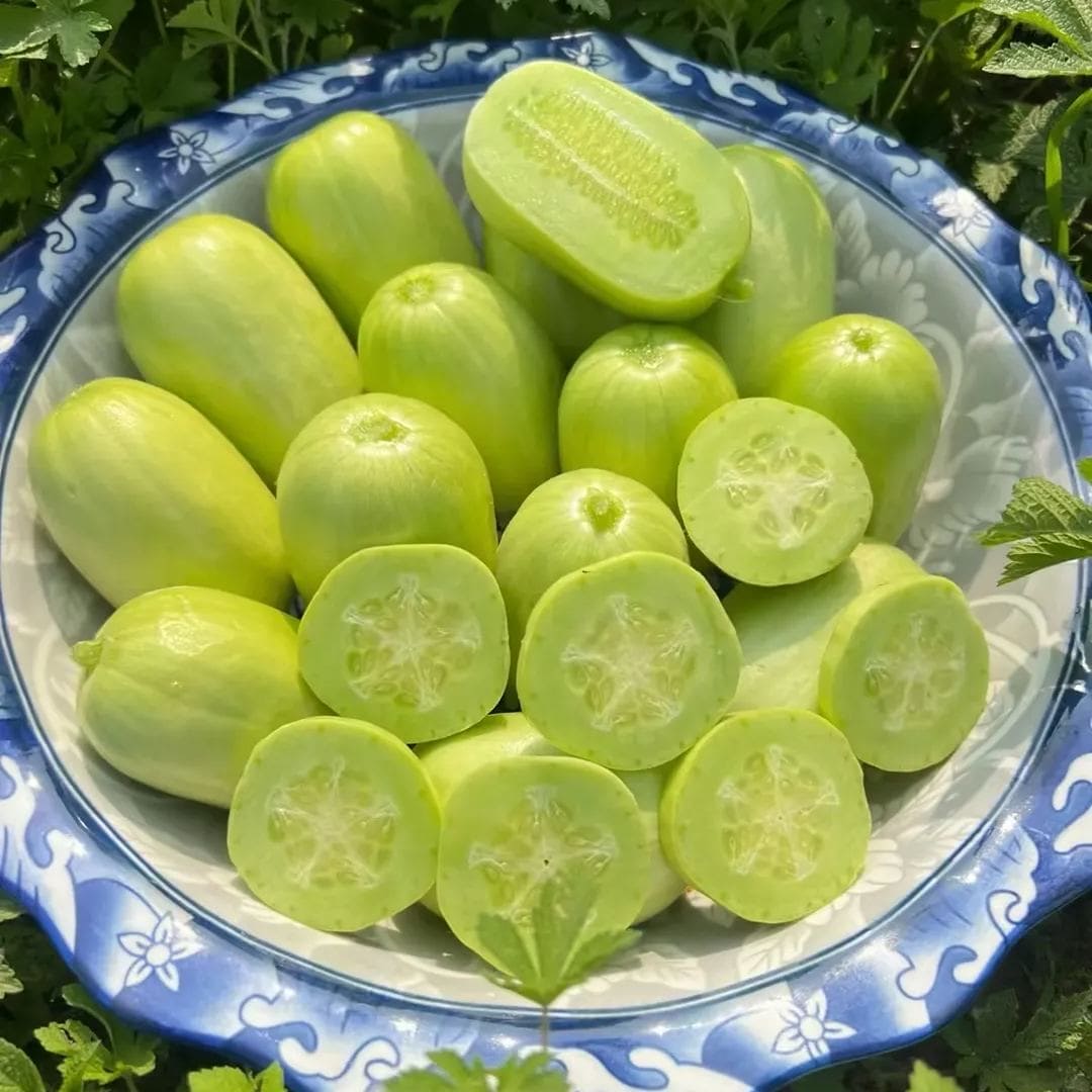 🥒Concombre de Jade