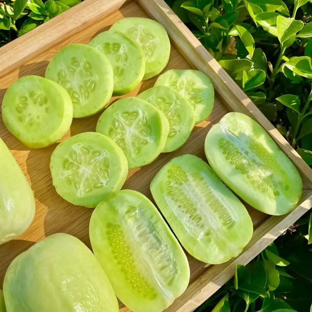 🥒Concombre de Jade