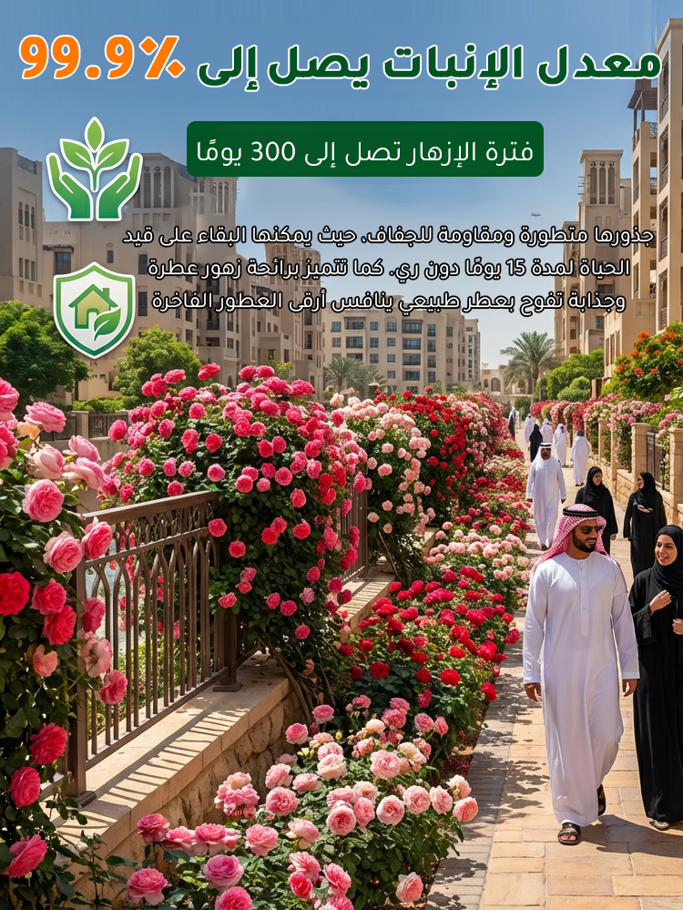 🌸بذور الورد المتسلق النادرة سهلة النمو، عطرة، مزهرة معمرة