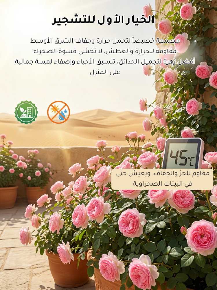 🌸بذور الورد المتسلق النادرة سهلة النمو، عطرة، مزهرة معمرة