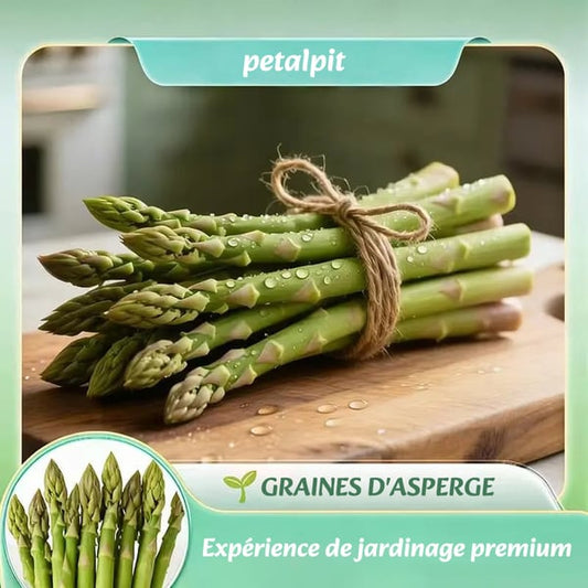 🌿Graines d'asperge Mary Washington quatre saisons – Vivace, tendre et nutritive