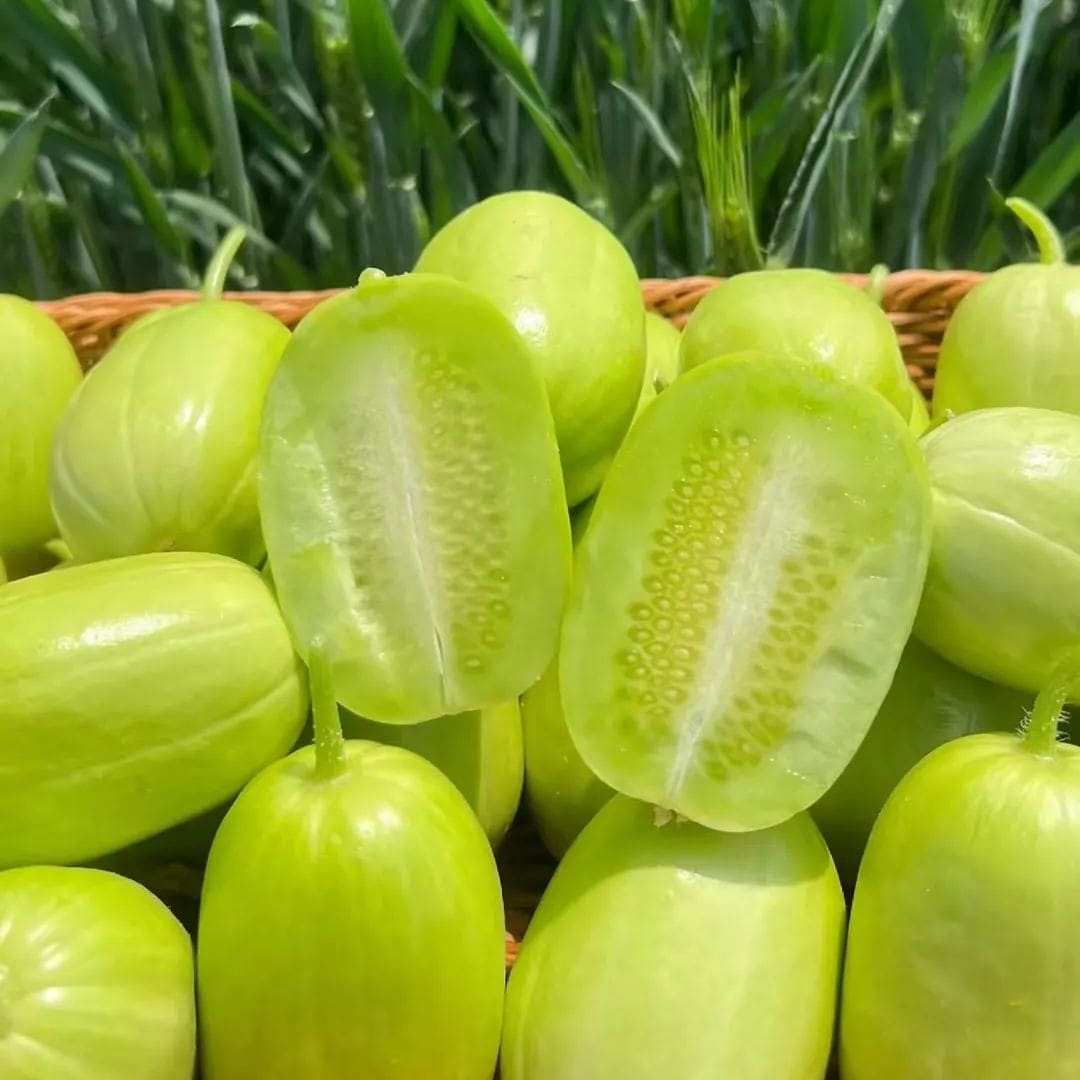🥒Concombre de Jade